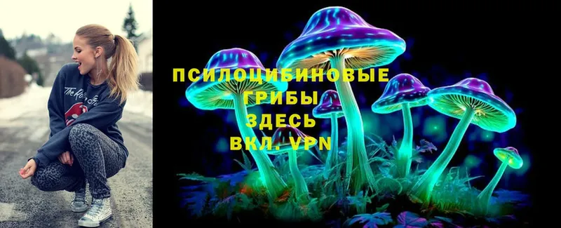 Псилоцибиновые грибы Magic Shrooms  закладка  Кедровый 